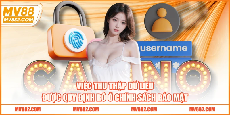 Việc thu thập dữ liệu được quy định rõ ở chính sách bảo mật